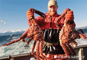 帝王蟹国产有生产的吗视频